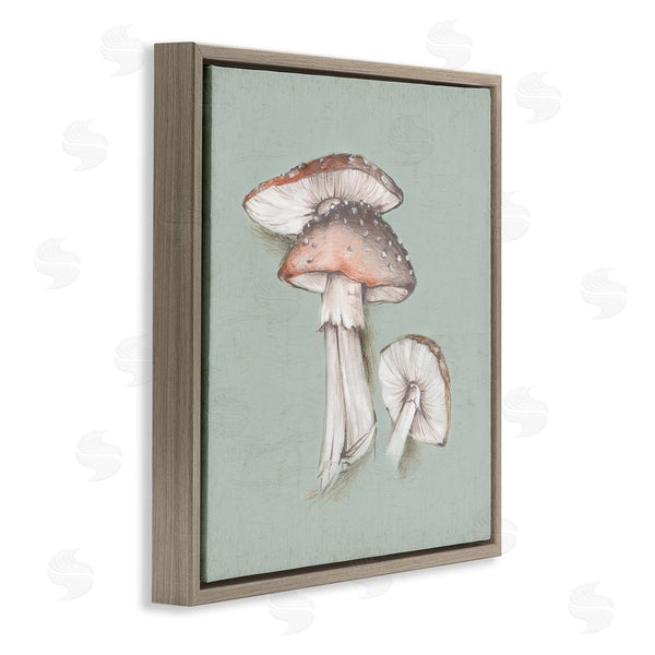 Stupell Industries Eli Jones | Mushroom Bunch Drawing Wall Art