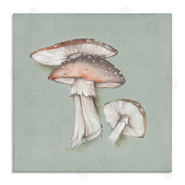 stupell industries Eli Jones | Mushroom Bunch Drawing Wall Art