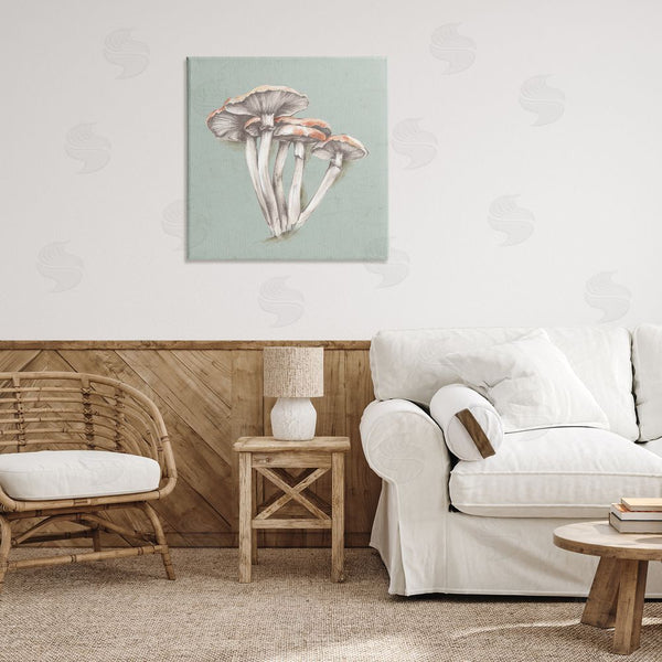 Stupell Industries Eli Jones | Mushroom Bundle Drawing Wall Art