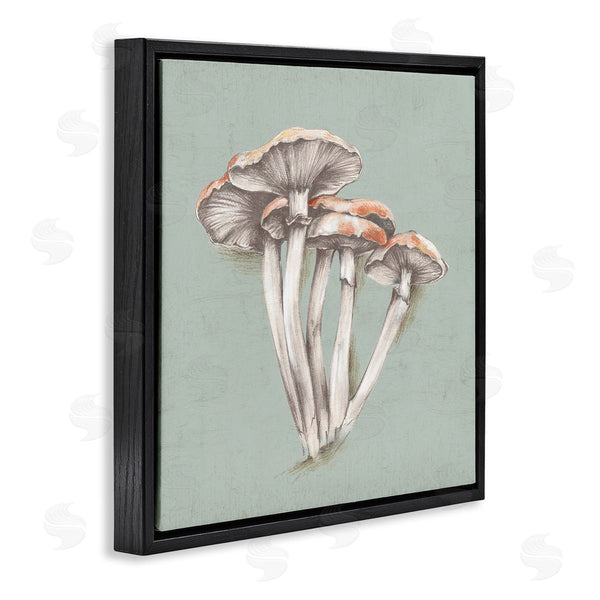 Stupell Industries Eli Jones | Mushroom Bundle Drawing Wall Art