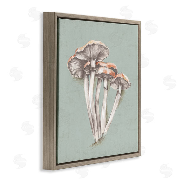 Stupell Industries Eli Jones | Mushroom Bundle Drawing Wall Art