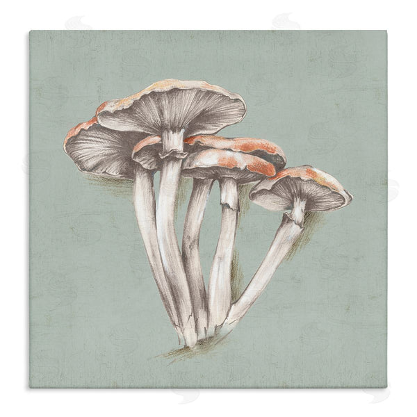 stupell industries Eli Jones | Mushroom Bundle Drawing Wall Art