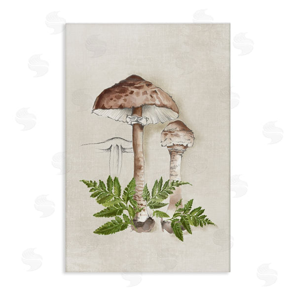 stupell industries Eli Jones | Mushroom & Ferns Sketch Wall Art