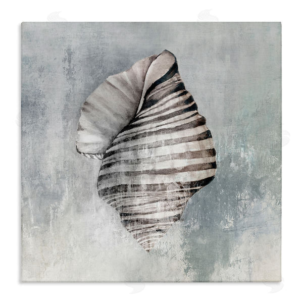 stupell industries Eli Jones | Organic Twisted Seashell