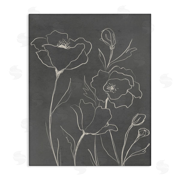 stupell industries Elizabeth Medley | Blossoming Flower Petals Botanical Line Doodle Drawing Wall Art