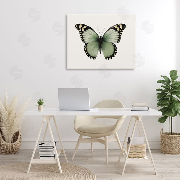Stupell Industries Elizabeth Medley | Green Symmetrical Butterfly Wall Art