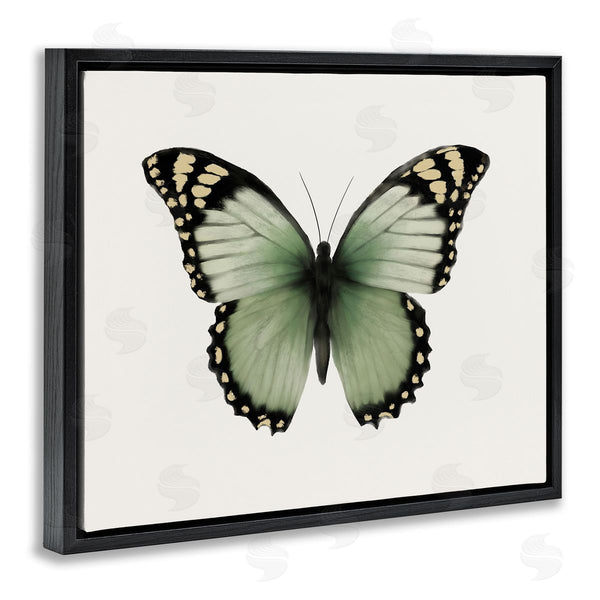 Stupell Industries Elizabeth Medley | Green Symmetrical Butterfly Wall Art