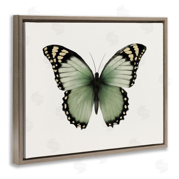 Stupell Industries Elizabeth Medley | Green Symmetrical Butterfly Wall Art