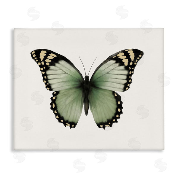 stupell industries Elizabeth Medley | Green Symmetrical Butterfly Wall Art