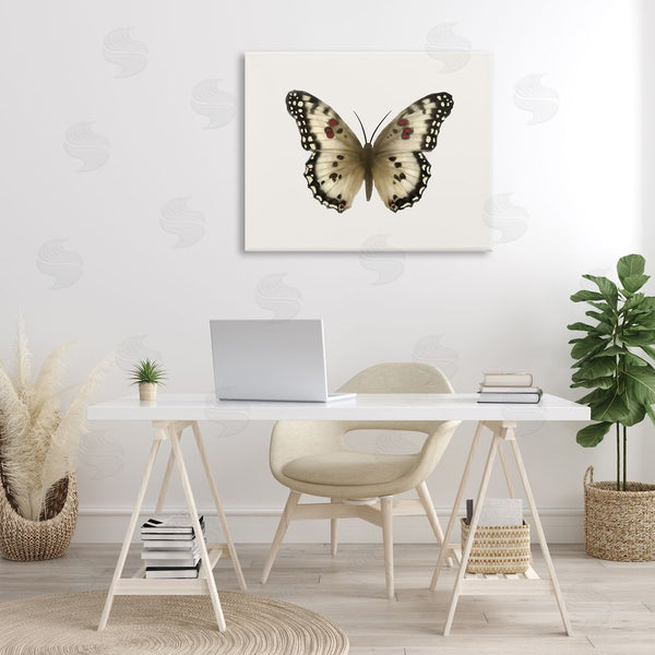Stupell Industries Elizabeth Medley | Tan Symmetrical Butterfly Wall Art