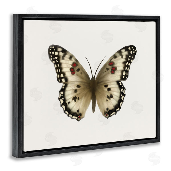 Stupell Industries Elizabeth Medley | Tan Symmetrical Butterfly Wall Art