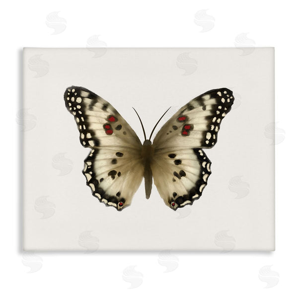 stupell industries Elizabeth Medley | Tan Symmetrical Butterfly Wall Art