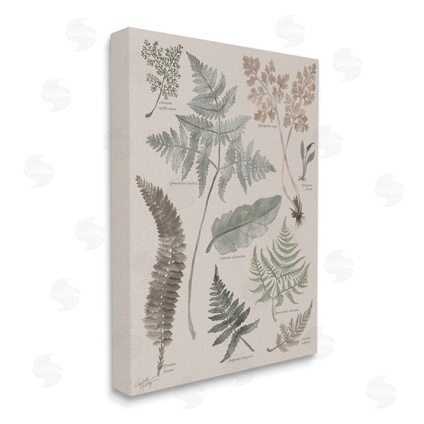 Stupell Industries Elizabeth Medley | Various Botanical Leaves Latin Study Informative Page Wall Art