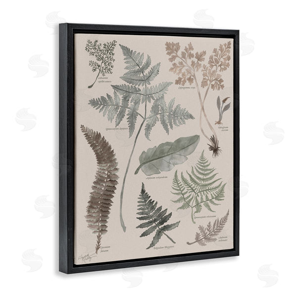 Stupell Industries Elizabeth Medley | Various Botanical Leaves Latin Study Informative Page Wall Art