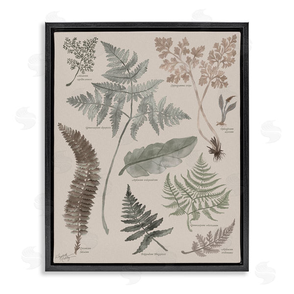 stupell industries Elizabeth Medley | Various Botanical Leaves Latin Study Informative Page Wall Art