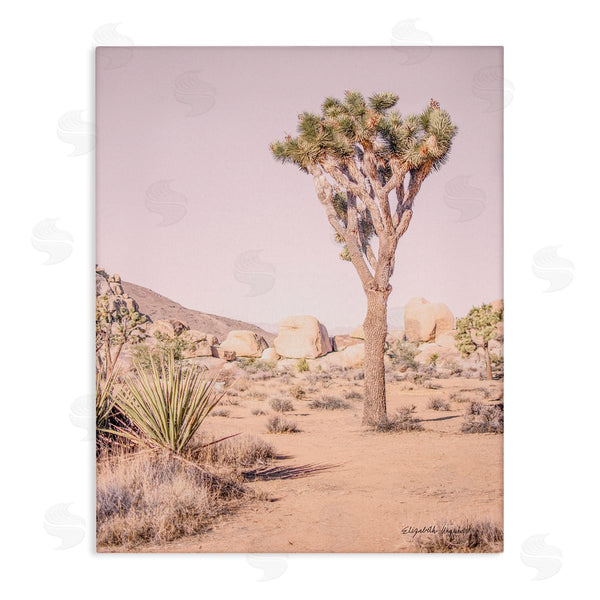 stupell industries Elizabeth Urquhart | Desert Tree and Agave Plant Sun Bleach Sky Wall Art