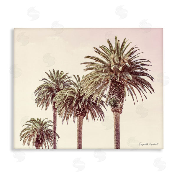 stupell industries Elizabeth Urquhart | Tropical Palm Trees Sun Bleached Summer Sky Wall Art