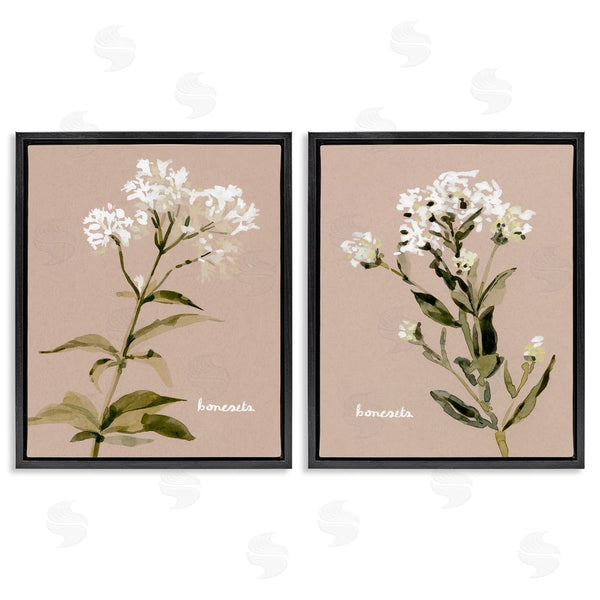 Stupell Industries Emma Caroline | White Boneset Flowers Soft Palette Wall Art