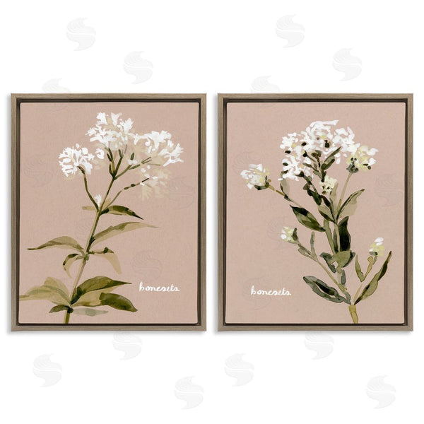Stupell Industries Emma Caroline | White Boneset Flowers Soft Palette Wall Art
