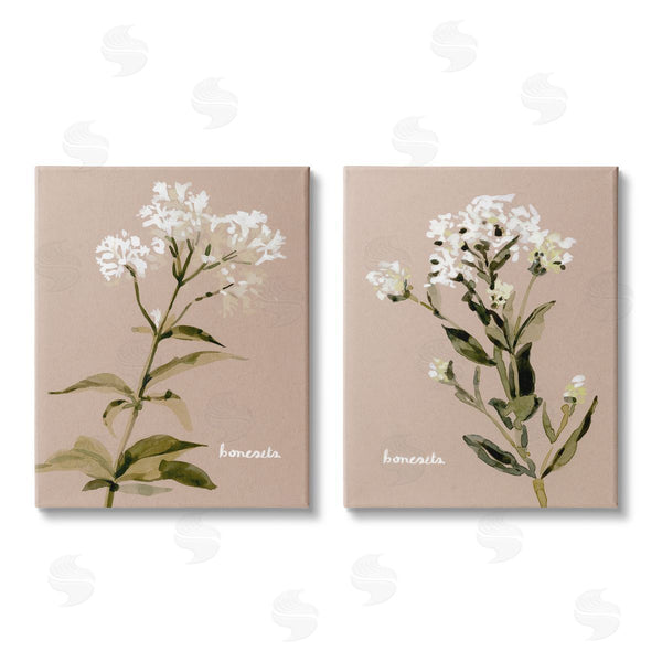 stupell industries Emma Caroline | White Boneset Flowers Soft Palette Wall Art