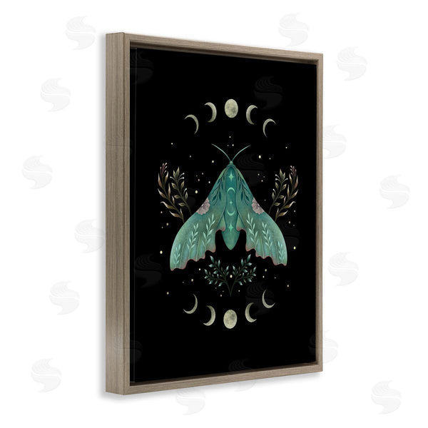 Stupell Industries Episodic Drawings | Celestial Moth & Moon Wall Art
