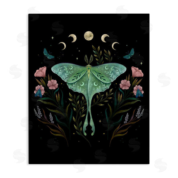 stupell industries Episodic Drawings | Luna Moth with Florals Wall Art