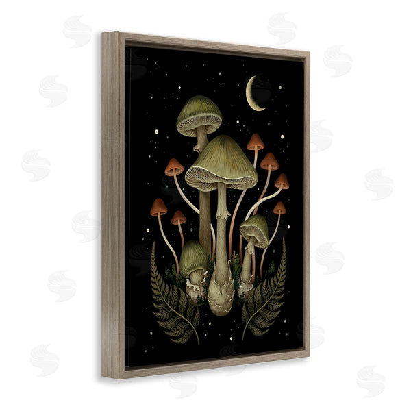 Stupell Industries Episodic Drawings | Night Mushrooms & Ferns Wall Art