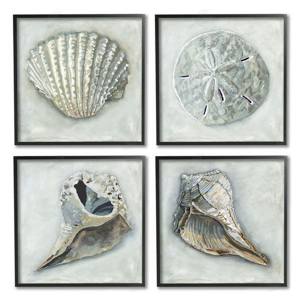 Stupell Industries Erica Christopher | Detailed Seashells Ocean Life Wall Art