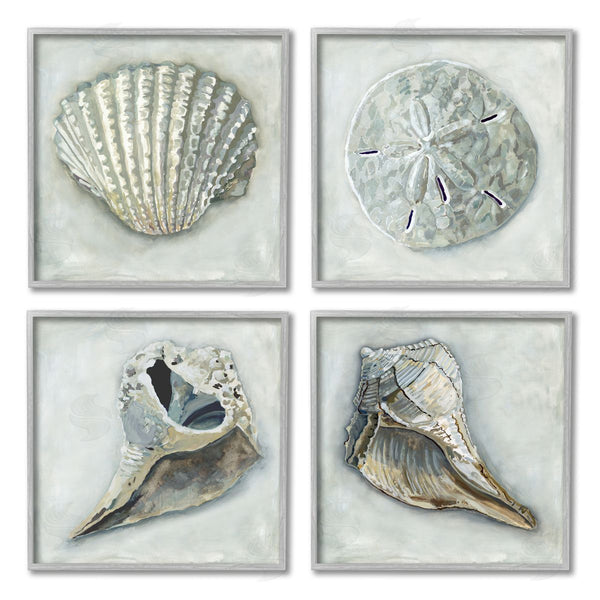 Stupell Industries Erica Christopher | Detailed Seashells Ocean Life Wall Art