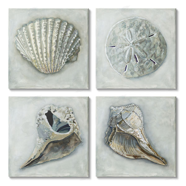 stupell industries Erica Christopher | Detailed Seashells Ocean Life Wall Art