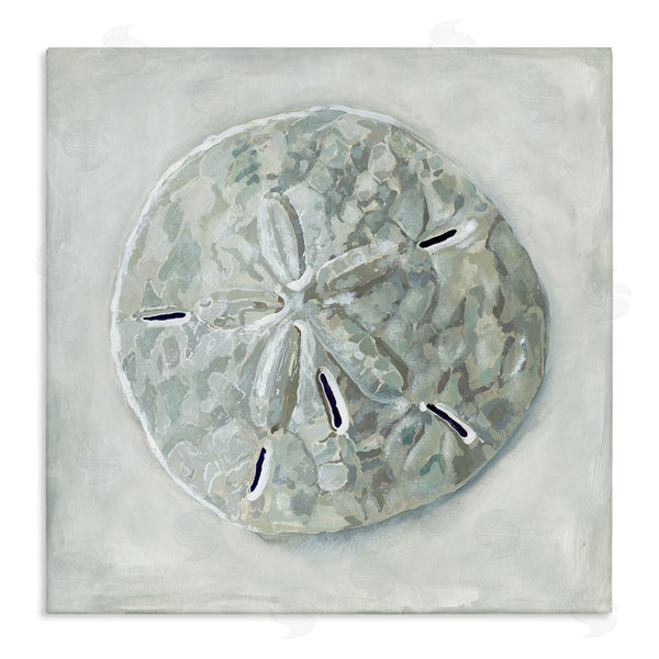 stupell industries Erica Christopher | Grey Sand Dollar Seashell