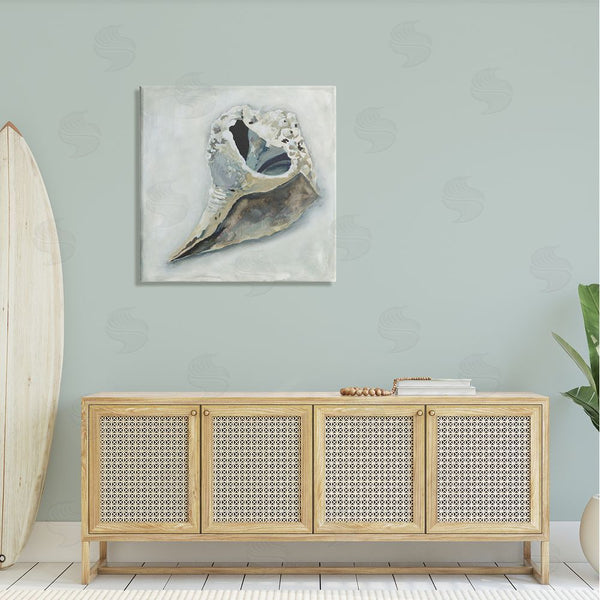 Stupell Industries Erica Christopher | Nautical Conch Seashell Wall Art