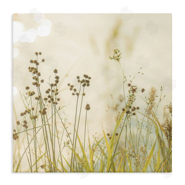 stupell industries Erin Marie | Country Afternoon Walk Wall Art