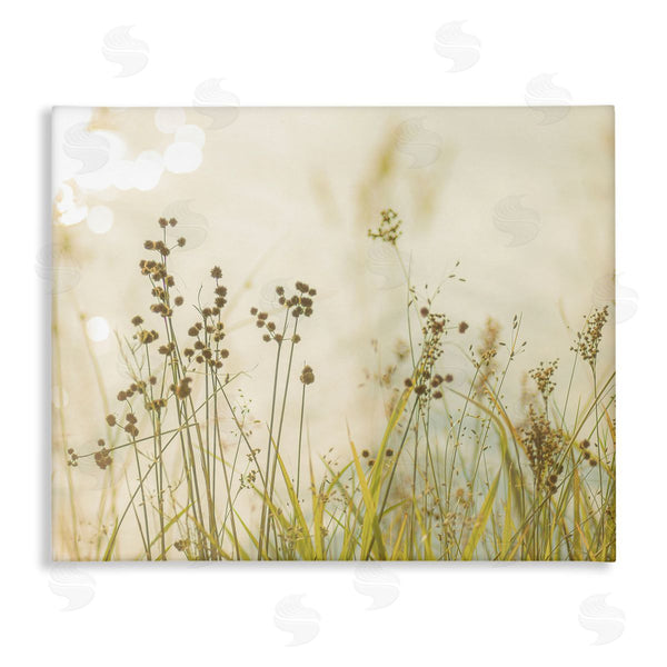 stupell industries Erin Marie | Rural Country Grasses Wall Art