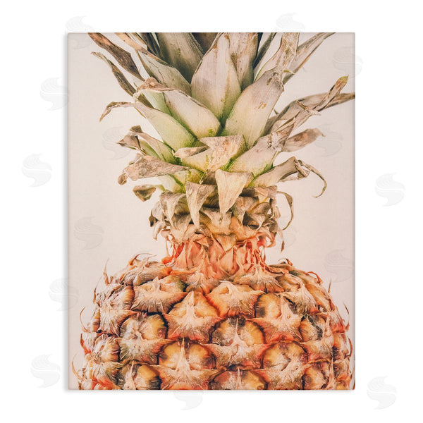stupell industries Erin Marie | Tropical Pineapple Photography Wall Art