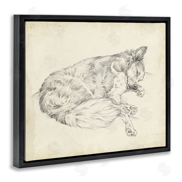 Stupell Industries Ethan Harper | Antique Dog Drawing
