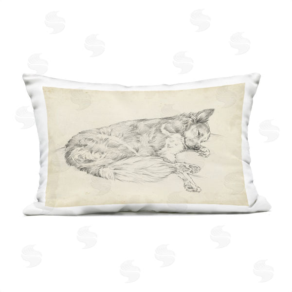 Stupell Industries Ethan Harper | Antique Dog Drawing Printed Throw Pillow