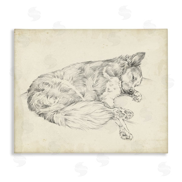 stupell industries Ethan Harper | Antique Dog Drawing