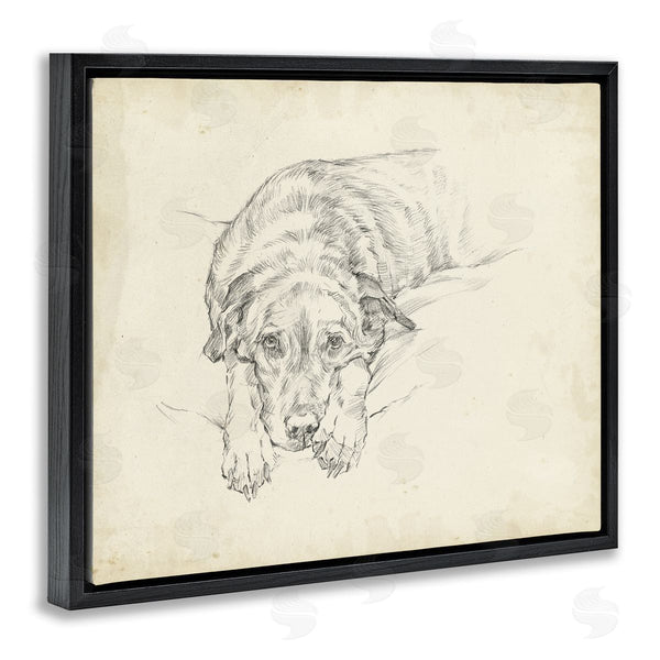 Stupell Industries Ethan Harper | Antique Dog Gazing Up