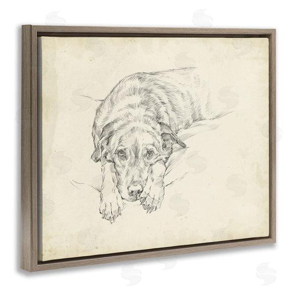 Stupell Industries Ethan Harper | Antique Dog Gazing Up