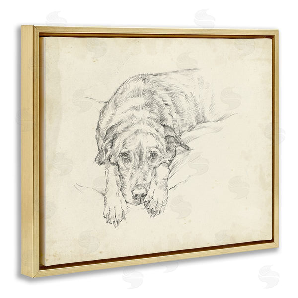 Stupell Industries Ethan Harper | Antique Dog Gazing Up