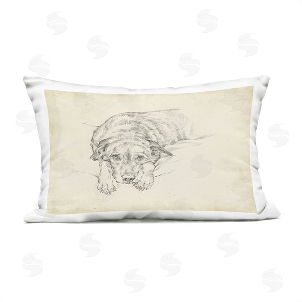 Stupell Industries Ethan Harper | Antique Dog Gazing Up Printed Throw Pillow