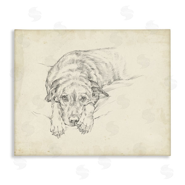 stupell industries Ethan Harper | Antique Dog Gazing Up