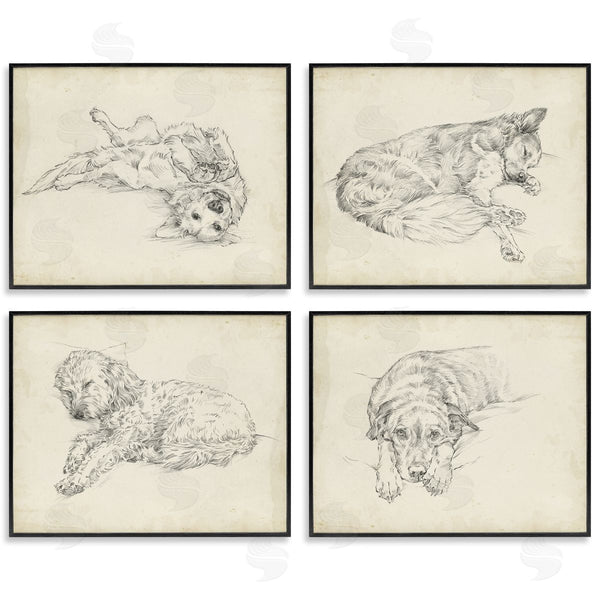 Stupell Industries Ethan Harper | Antique Dog Sketch Wall Art