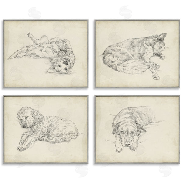 Stupell Industries Ethan Harper | Antique Dog Sketch Wall Art
