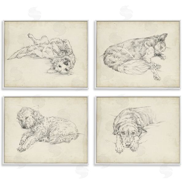 Stupell Industries Ethan Harper | Antique Dog Sketch Wall Art