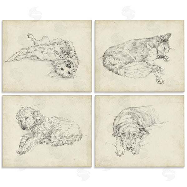 stupell industries Ethan Harper | Antique Dog Sketch Wall Art