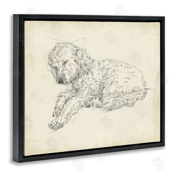 Stupell Industries Ethan Harper | Antique Sleeping Dog Sketch