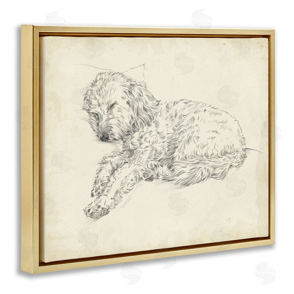 Stupell Industries Ethan Harper | Antique Sleeping Dog Sketch