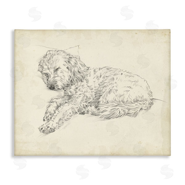 stupell industries Ethan Harper | Antique Sleeping Dog Sketch